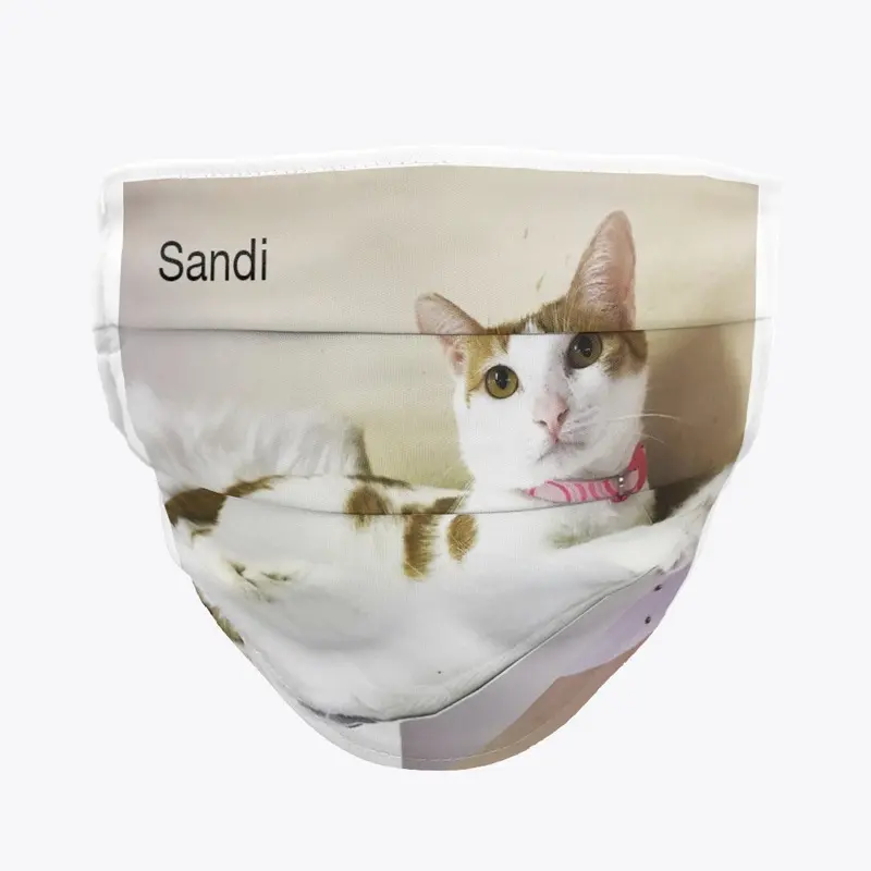 Sandi